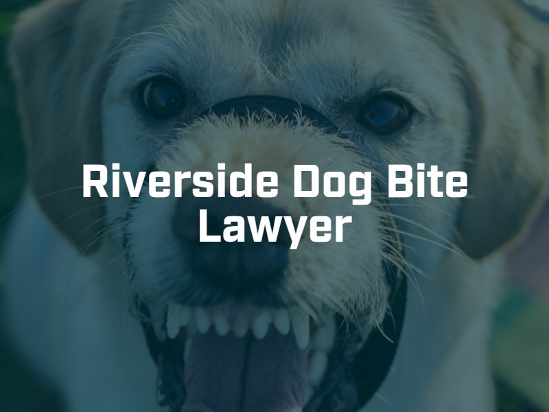 Riverside dog bite lawyer