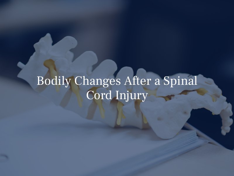bodily changes after a spinal cord injury
