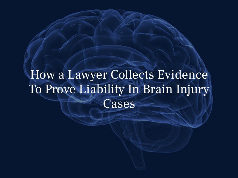 How Does a Lawyer Collect Evidence To Prove Liability In Brain Injury Cases?