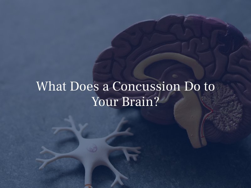 What Does a Concussion Do to Your Brain?